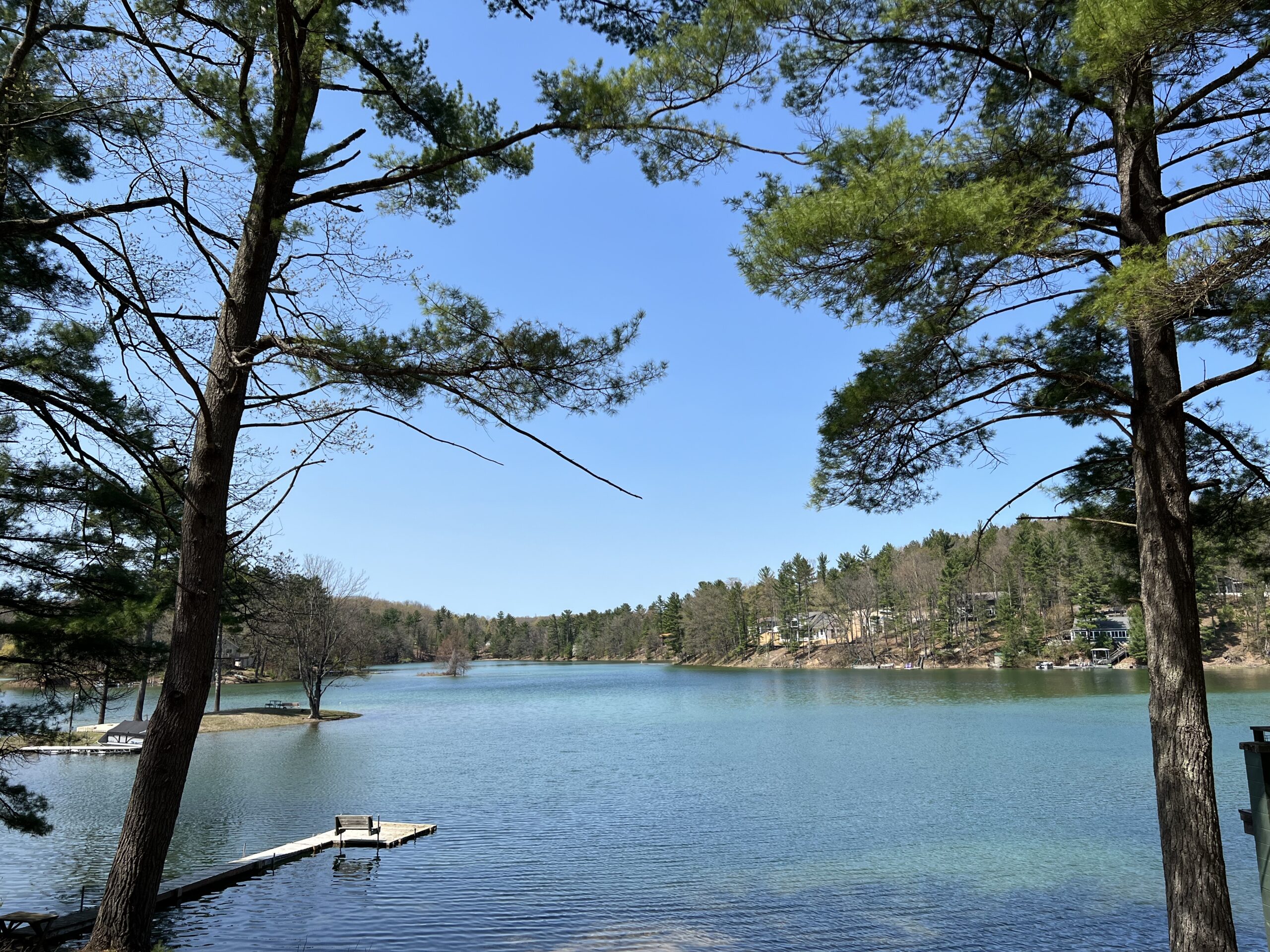 Modern Cabin on Arbutus Lake Arbutus Lake Rentals